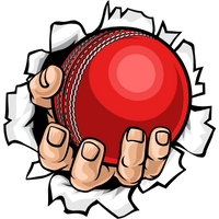 cricket betting guide image hand holding cricket ball